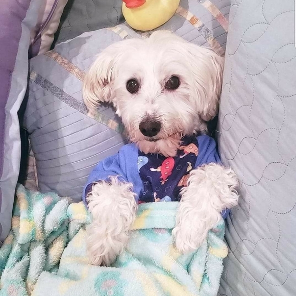 Share 20 ๐ปSharing is Caring๐ป - Picture 8 of 16